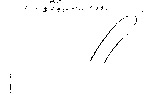 L_W13b0995 A10q0793-p04 K718 akh cv W13w0595